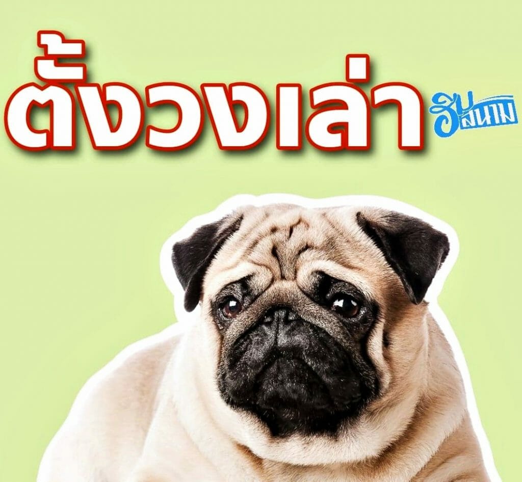 เปิดใจ บูม – โด้ 2 แข้งเชียงใหม่พลัดถิ่น หลังมีข่าวต้นสังกัด ค้างเงินเดือน